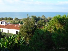 Прекрасная зеленая территория, пляж и море.