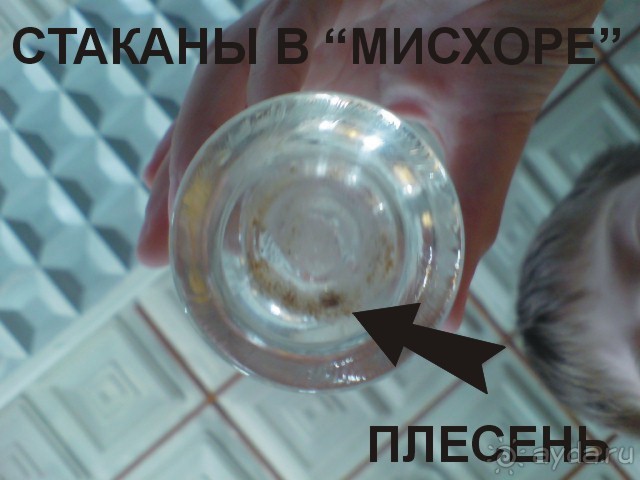 "Мисхор" глазами нашей семьи