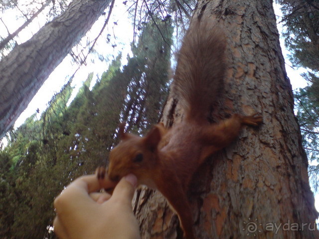 Отдых в "Жемчужине"
