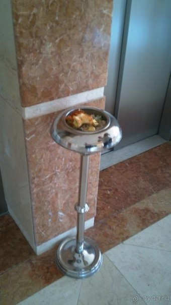 Ежедневные огрызки