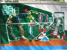 Отдых в лесу, если убрать шум дискотек