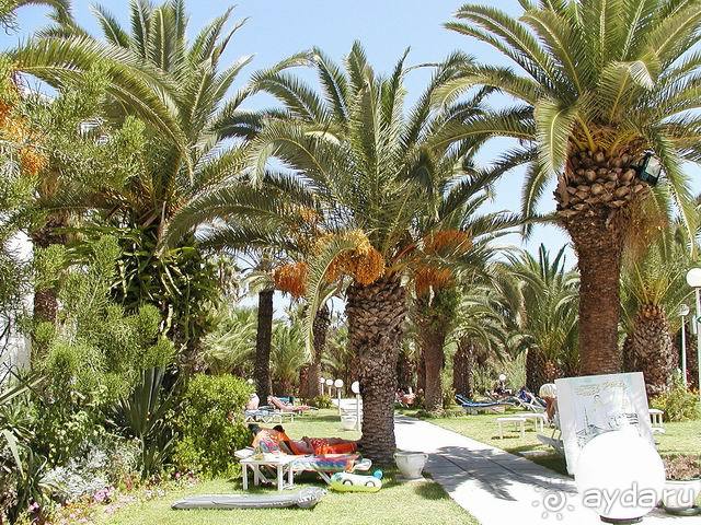 Парк при отеле "Мархаба бич"