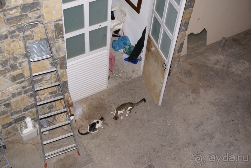 фото Sokos Ilves