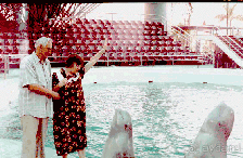 Снова к заливу Халонг бэй