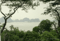 Снова к заливу Халонг бэй