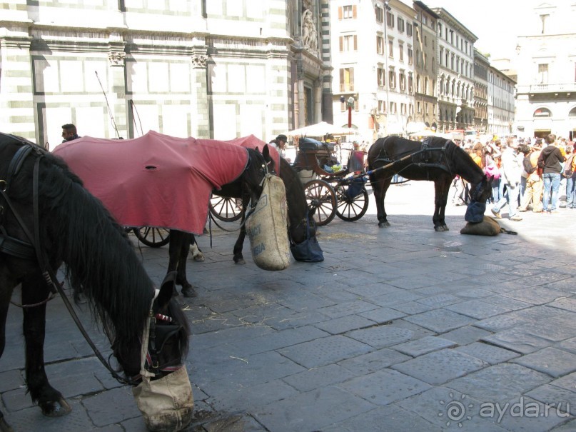 Письма с дороги (Рим, Флоренция -  20.03.2012  - 29.03.2012)