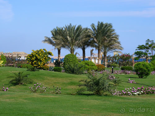 Не верьте плохим отзывам!