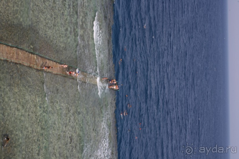 Хороший отель, отличный риф, пляжа нет