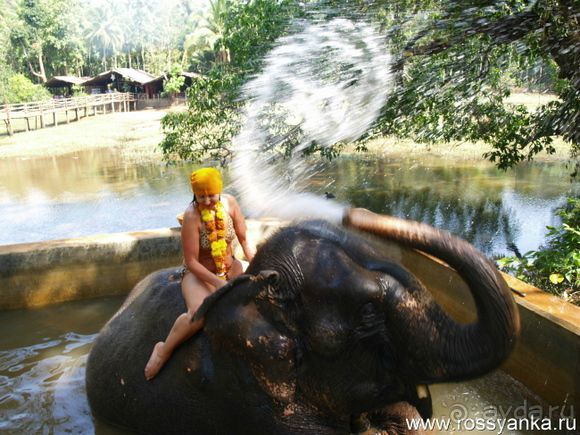 2013 г. Гоа. Советы cоставлены после опросов сотен (!) екатеринбуржцев с 2003 г