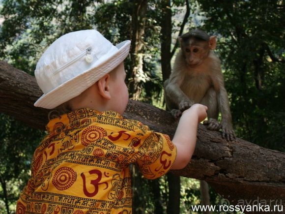 2013 г. Гоа. Советы cоставлены после опросов сотен (!) екатеринбуржцев с 2003 г