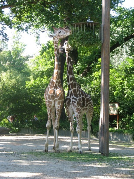 Из Берлина в Дрезден