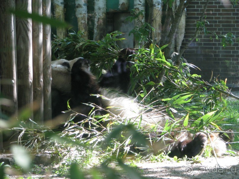 Из Берлина в Дрезден