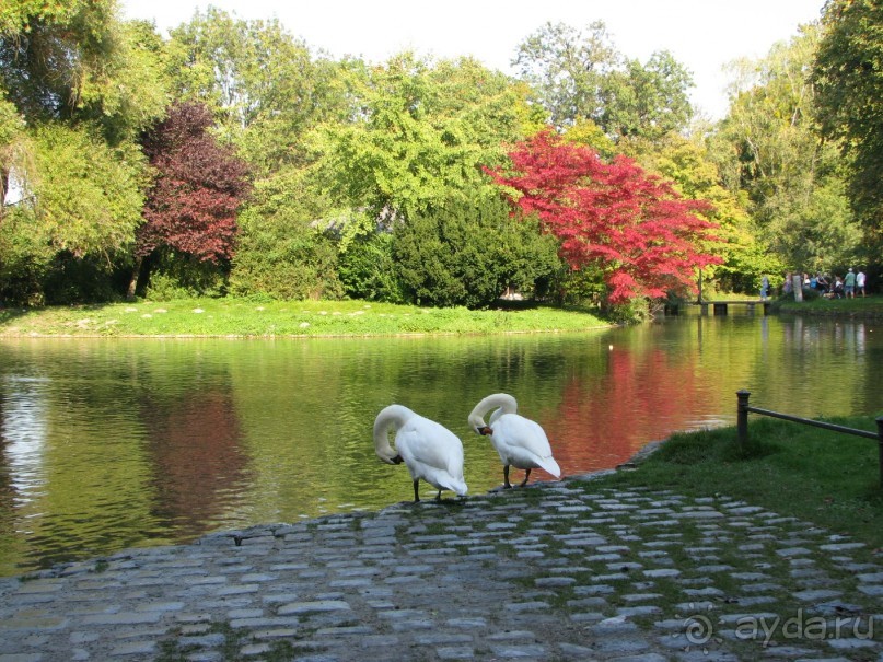 Мюнхен. Английский сад.