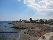 Неделя лета в феврале