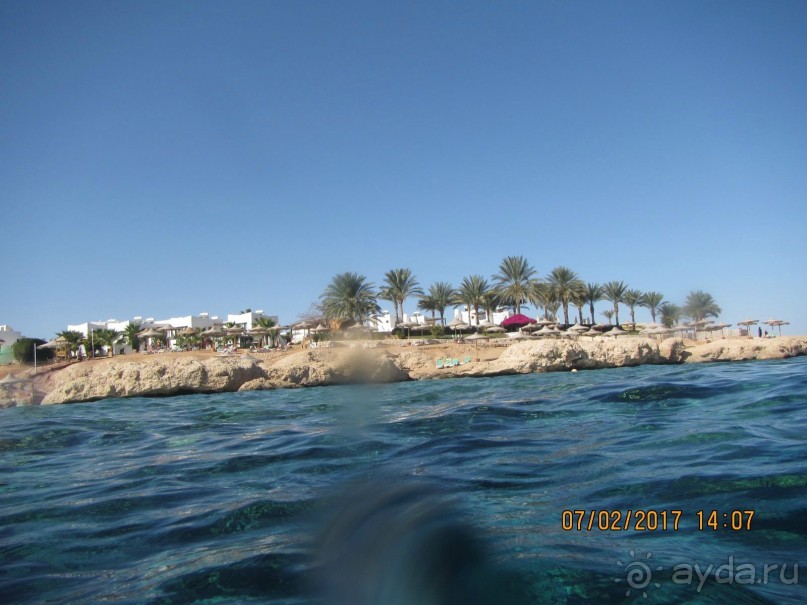 Неделя лета в феврале