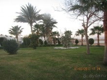 Неделя лета в феврале