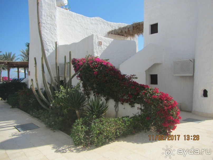 Неделя лета в феврале