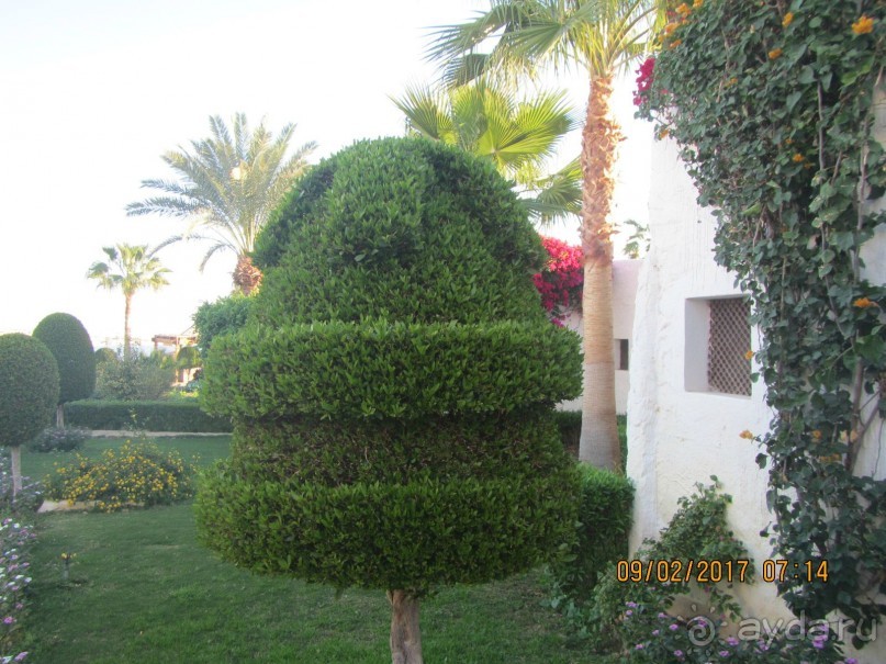 Неделя лета в феврале