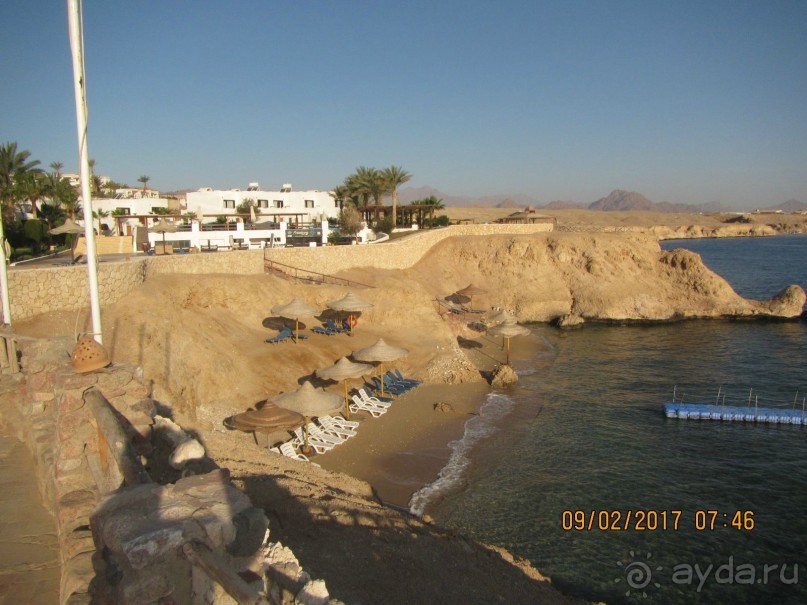 Неделя лета в феврале