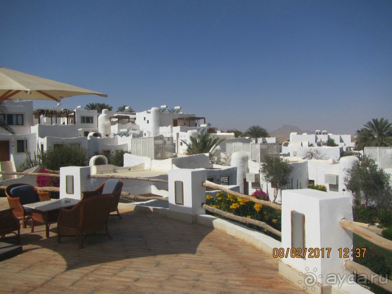 Неделя лета в феврале