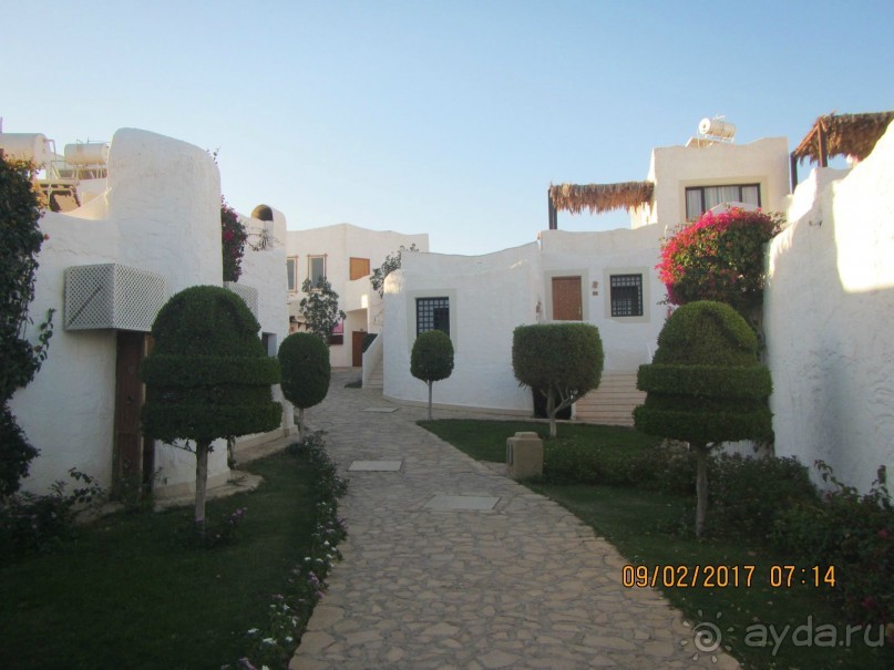 Неделя лета в феврале