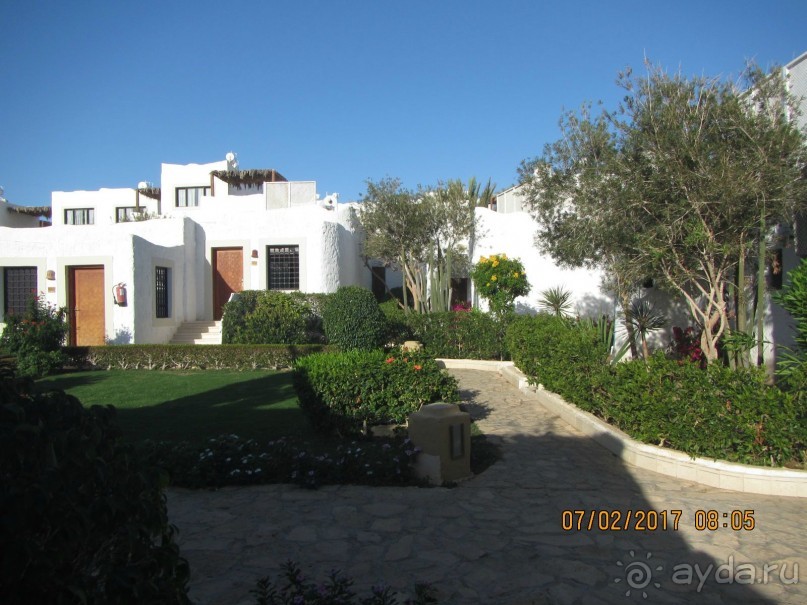 Неделя лета в феврале