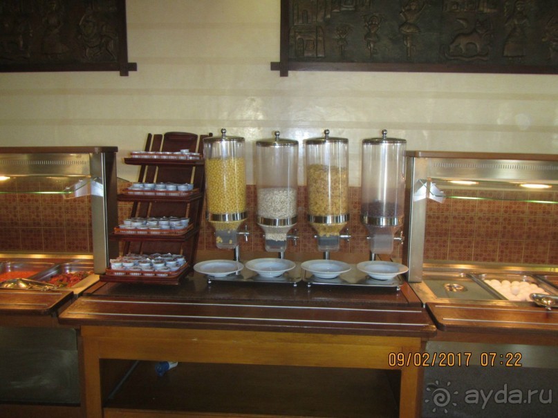 Неделя лета в феврале