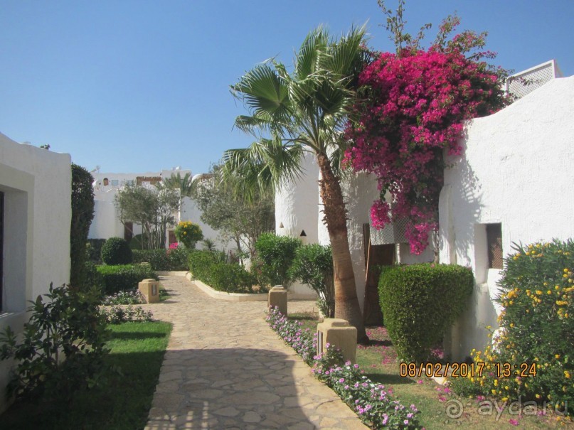 Неделя лета в феврале