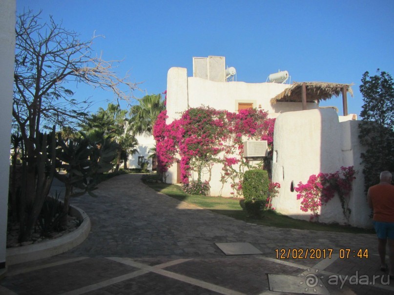 Неделя лета в феврале