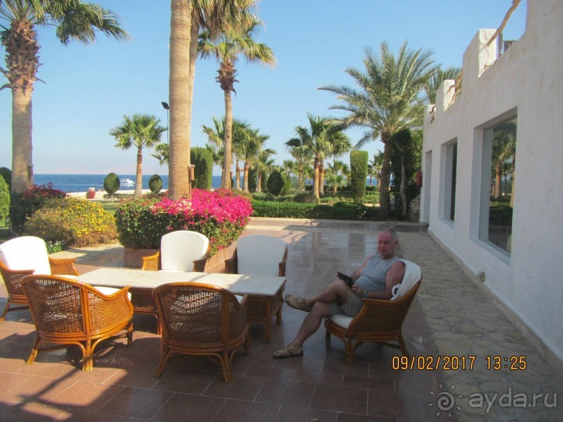 Неделя лета в феврале