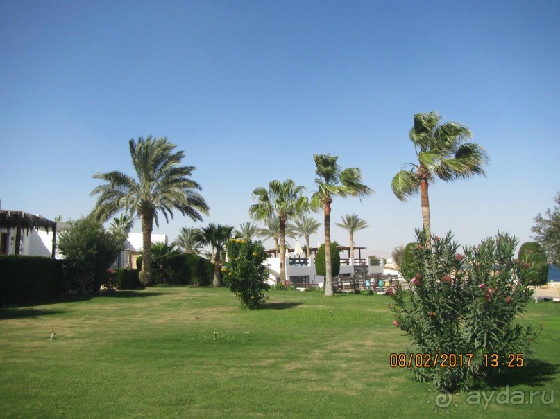 Неделя лета в феврале