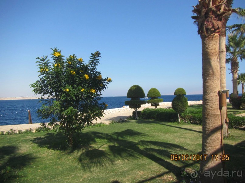 Неделя лета в феврале