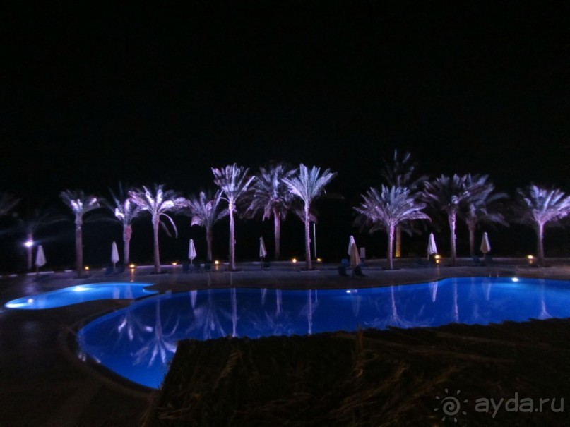 Неделя лета в феврале