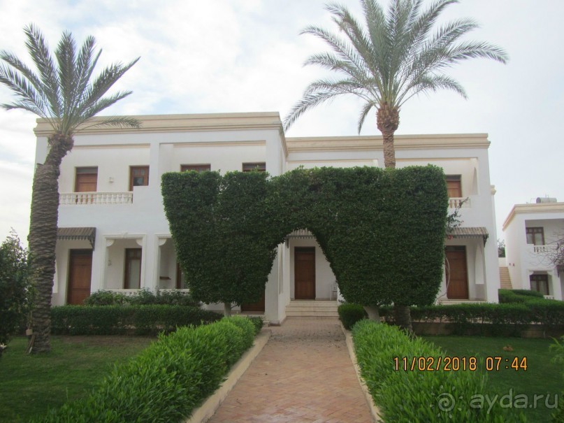 Наше лето в феврале