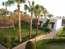 фото Египта