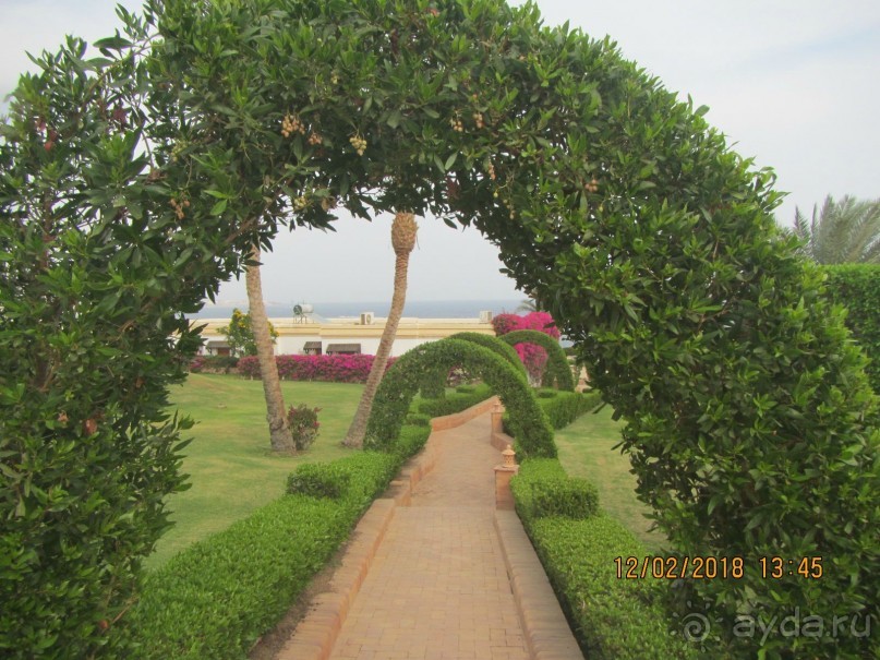 фото Club Reef Resort 