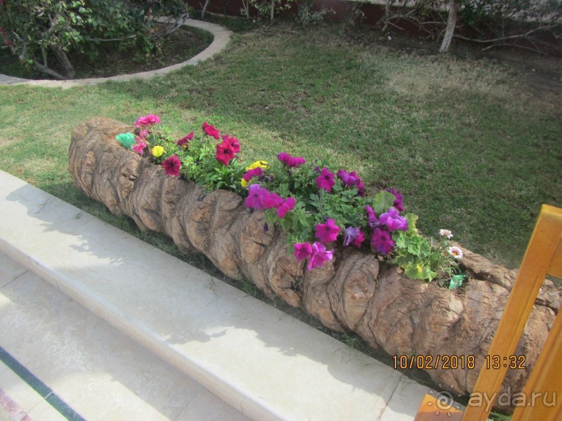 фото Club Reef Resort 