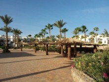 Наше лето в феврале