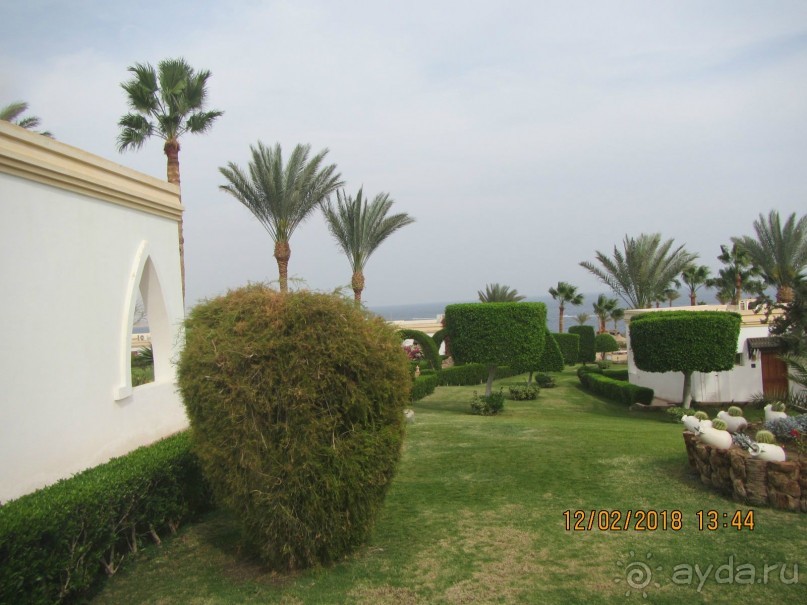 фото Club Reef Resort 