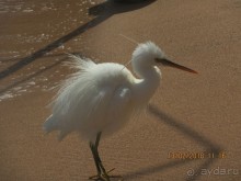 Наше лето в феврале
