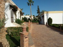 Наше лето в феврале