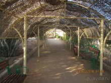 Наше лето в феврале