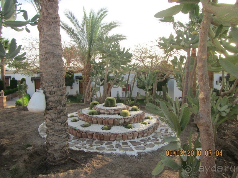 фото Club Reef Resort 