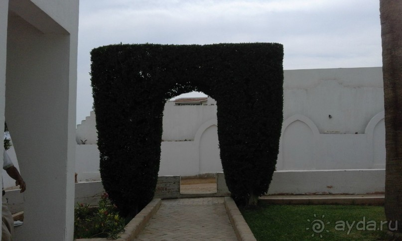 фото Club Reef Resort 