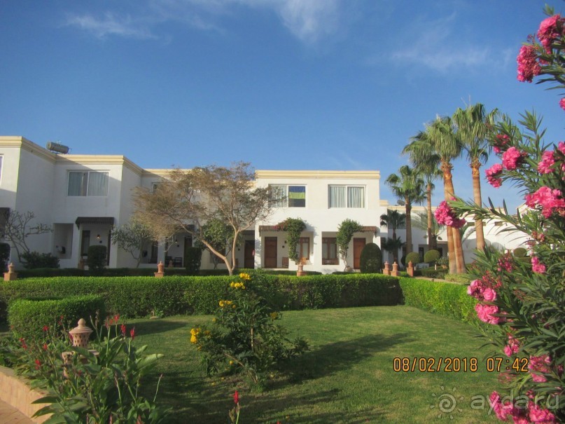 фото Club Reef Resort 