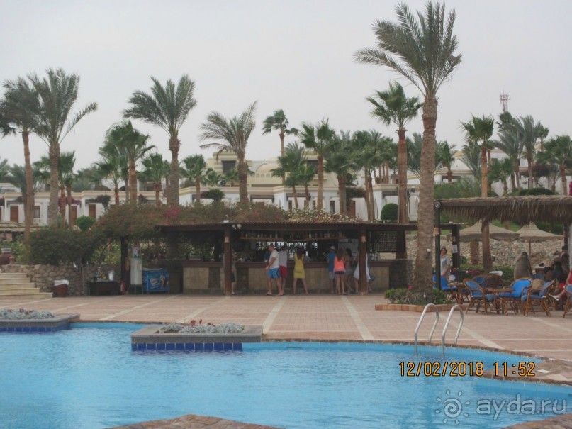 фото Club Reef Resort 