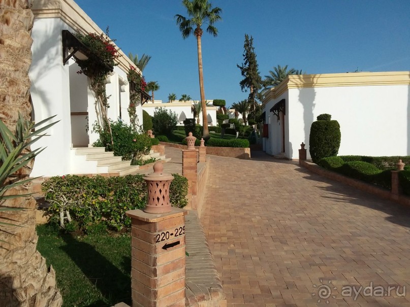 фото Club Reef Resort 