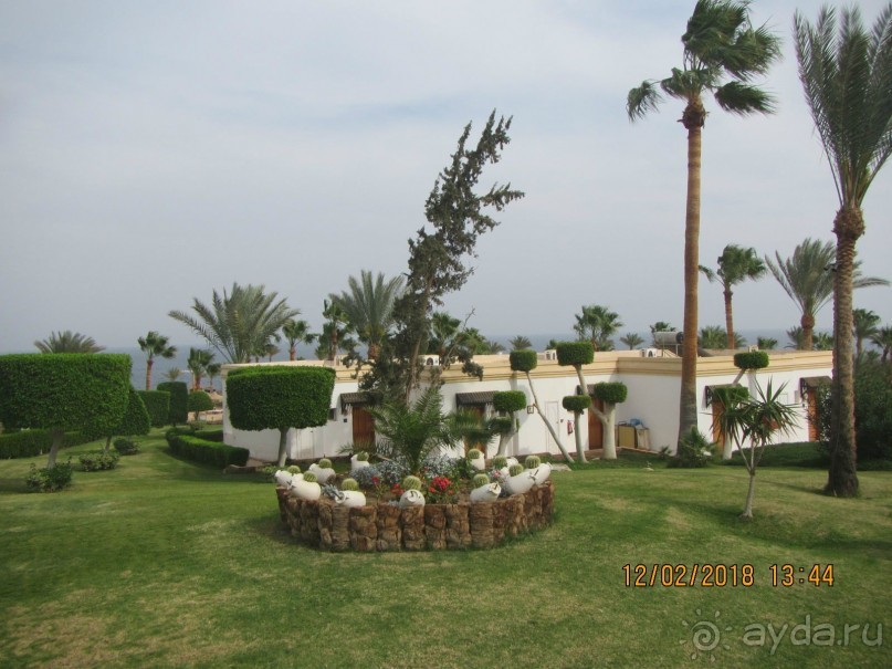 фото Club Reef Resort 