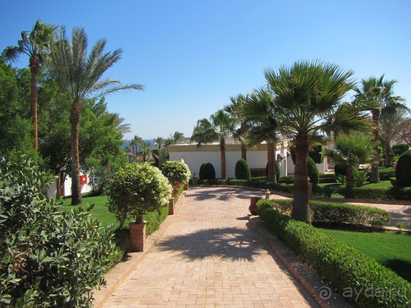 Спокойный релакс