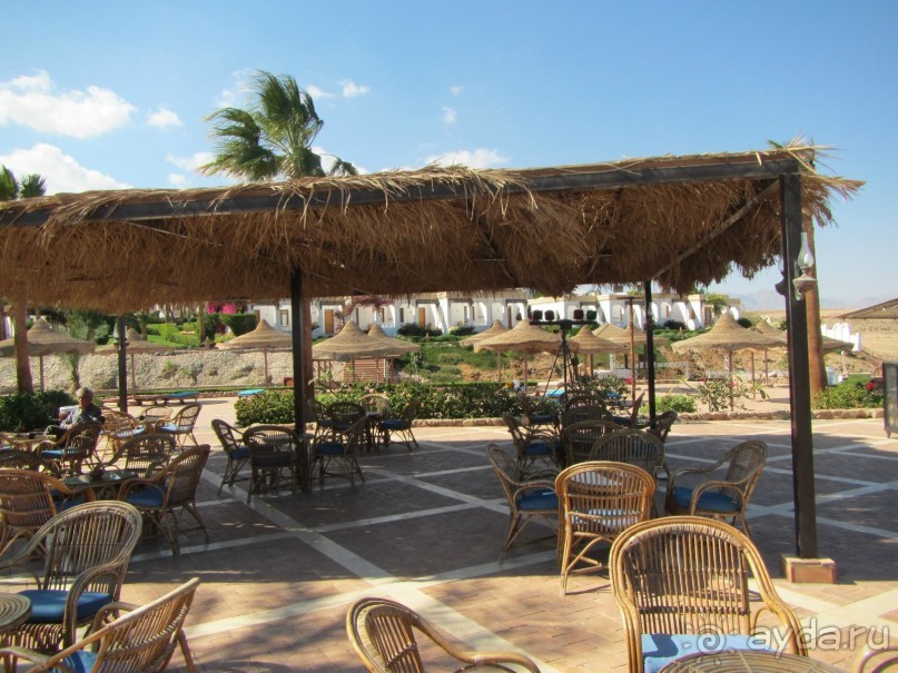 фото Club Reef Resort 
